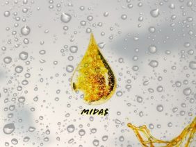 MIDAS