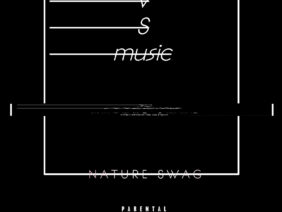 Stream & Download tracks by Nature Swag on www.reverbnation.com.